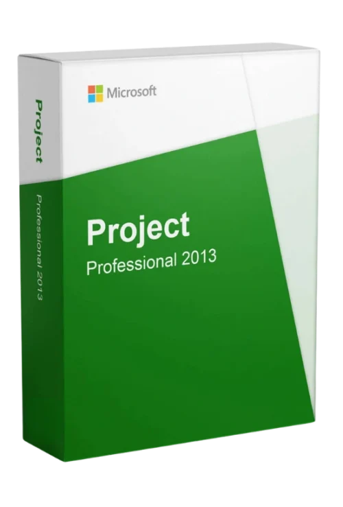 Project Professional 2013